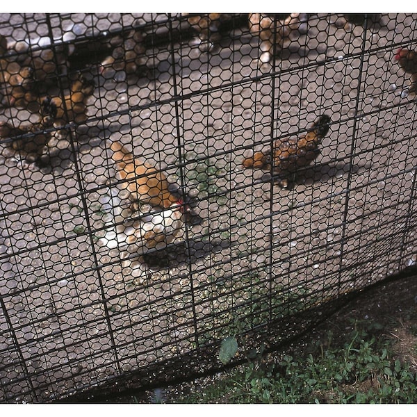 Tenax Heavy Duty Poultry Fencing - 203469