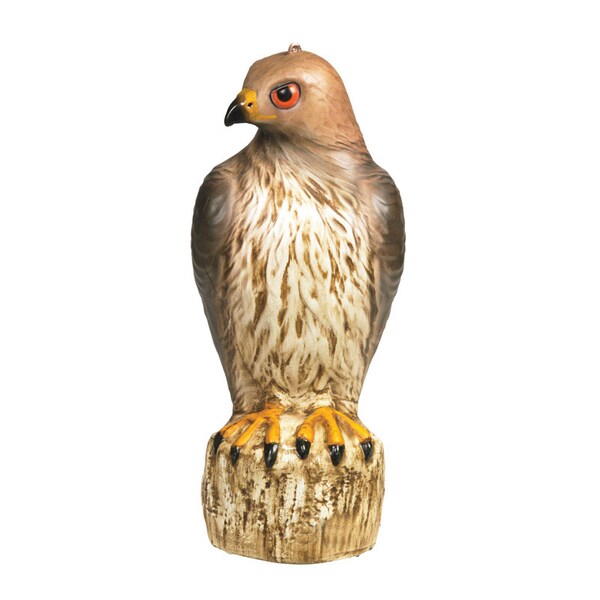 Bird-B-Gone Bird-B-Gone Bird Deterrent Decoy For Assorted Species 1 pk - MMRTH1