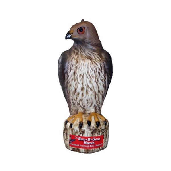 Bird-B-Gone Bird B Gone Inc. B44 MMRTH1X Bird B Gone Hawk Decoy - B44 MMRTH1X
