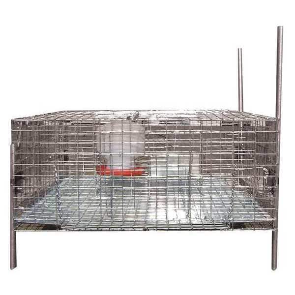 Bird Barrier Pigeon Trap, w/Shade, Water and Feeder - TT-SW20