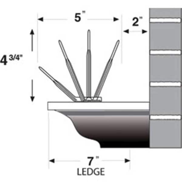 Bird-B-Gone Polycarbonate Bird Spikes, 50'L x 5"W - GPL2000-5CLR-50