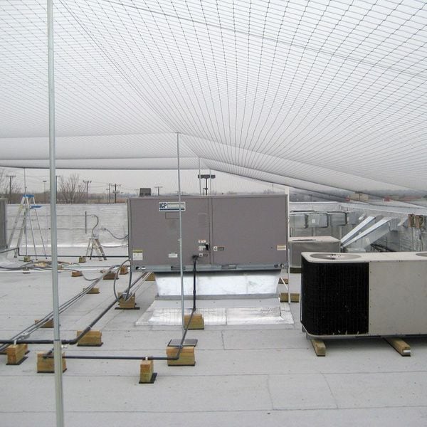 Bird Barrier Bird Repellent Net, StealthNet, 14x100 ft. - N7X-B120