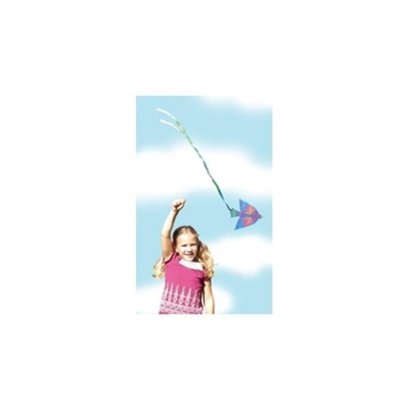 Roylco Roylco R2439 Roylco Bird Kite 32-pkg - R2439