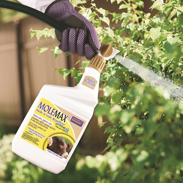 Bonide Products Bonide Molemax Animal Repellent Liquid For Moles and Voles 32 oz - 690
