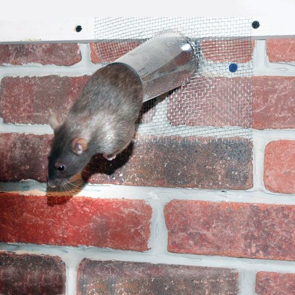 Bird Barrier Bat Removal Cone, Animal Control, 6in. - N8-PC30