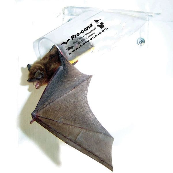 Bird Barrier Bat Removal Cone, Animal Control, 6in. - N8-PC30