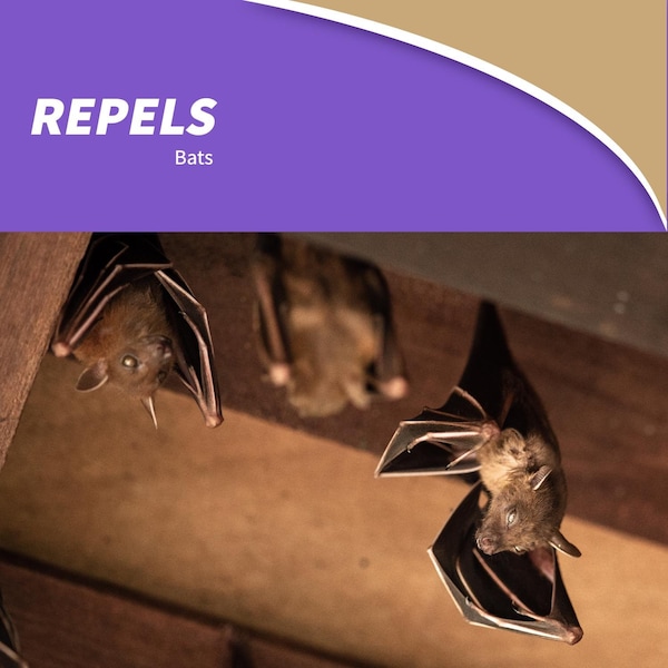 Bonide Products Bonide Bat Magic Animal Repellent Granules For Bats 2 oz - 876