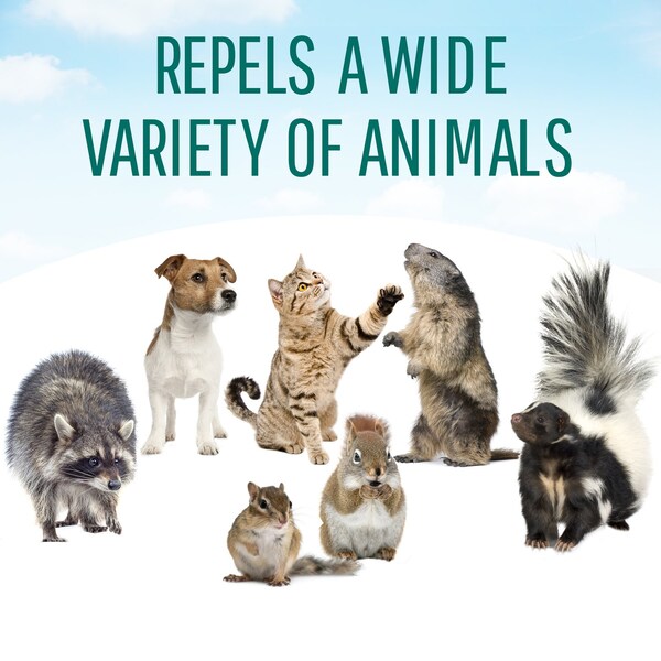 Safer Brand Safer Brand Critter Ridder Animal Repellent Granules For Most Animal Types 2 lb - 5926