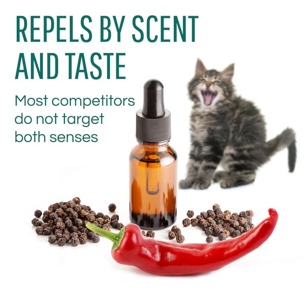 Safer Brand Safer Brand Critter Ridder Animal Repellent Granules For Most Animal Types 2 lb - 5926