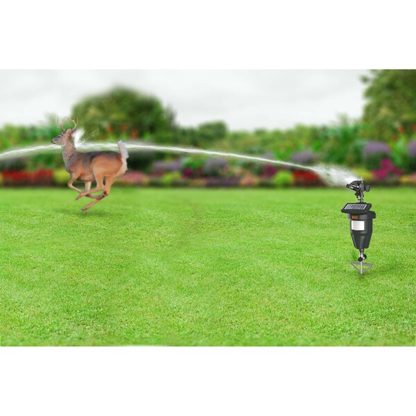 Black & Decker Outdoor Solar Powered Motion Activated Animal Deterrent Sprinkler - BDXPC803