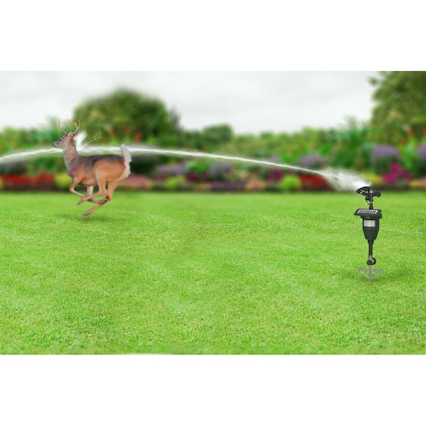 Black & Decker Outdoor Solar Powered Motion Activated Animal Deterrent Sprinkler - BDXPC803