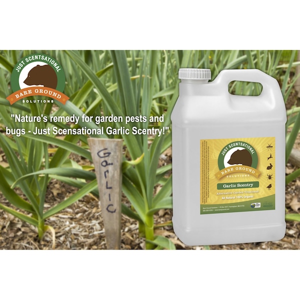 Just Scentsational Garlic Scentry 2.5 Gallon by Bare Ground - GAR-2.5P