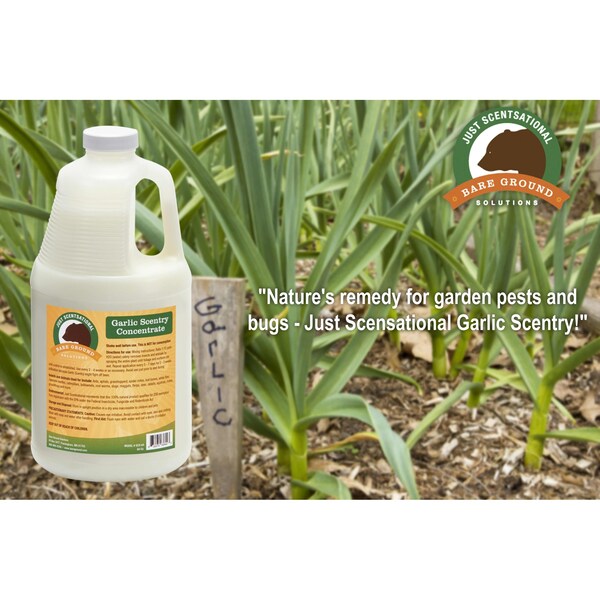Just Scentsational Garlic Scentry Concentrate Half Gallon by Bare Ground - GCS-64