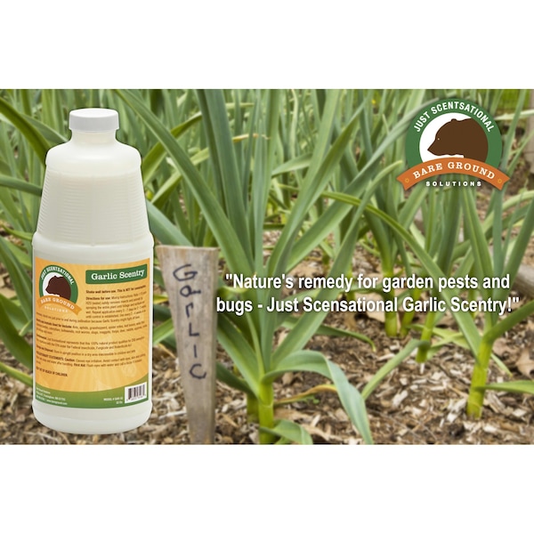 Just Scentsational Garlic Scentry One Quart by Bare Ground - GAR-32