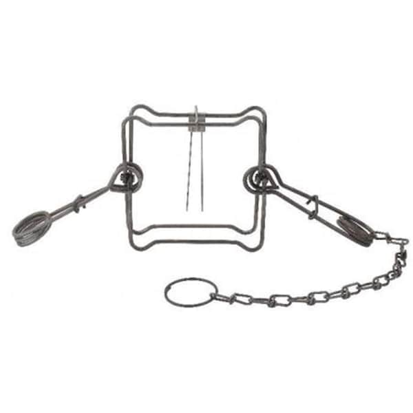 Duke 6 in. Body Trap No.160-BT Raccoon, Fisher - 1350466