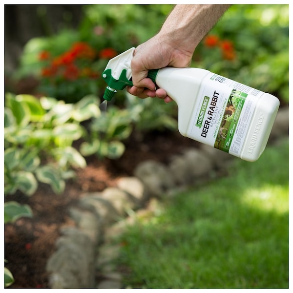 Liquid Fence Liquid Fence Animal Repellent Spray For Deer and Rabbits 32 oz - HG-71126