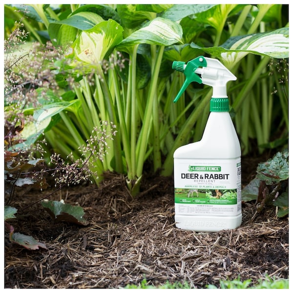 Liquid Fence Liquid Fence Animal Repellent Spray For Deer and Rabbits 32 oz - HG-71126