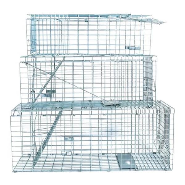 Wilco Wilco 70206 Collapsible Live Trap - Medium - 70206