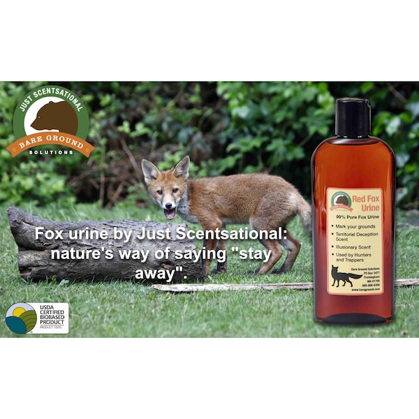 Just Scentsational Fox Urine Predator Scent 8 oz by Bare Ground - FU-8
