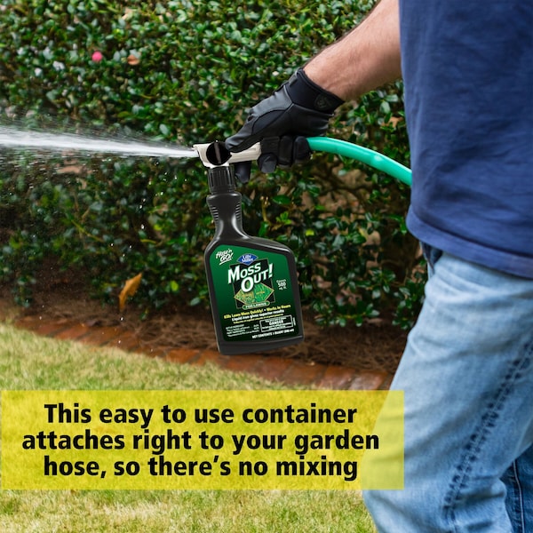 Amdro Lilly Miller Hose 'n Go Moss Out Moss Killer Concentrate 32 oz - 100503873