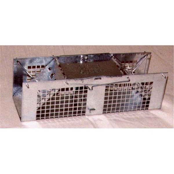 Woodstrean Corp Woodstrean Corp W75 1020 3 in. W x 10 in. L x 3 in. H Two Door Mouse Trap - W75 1020