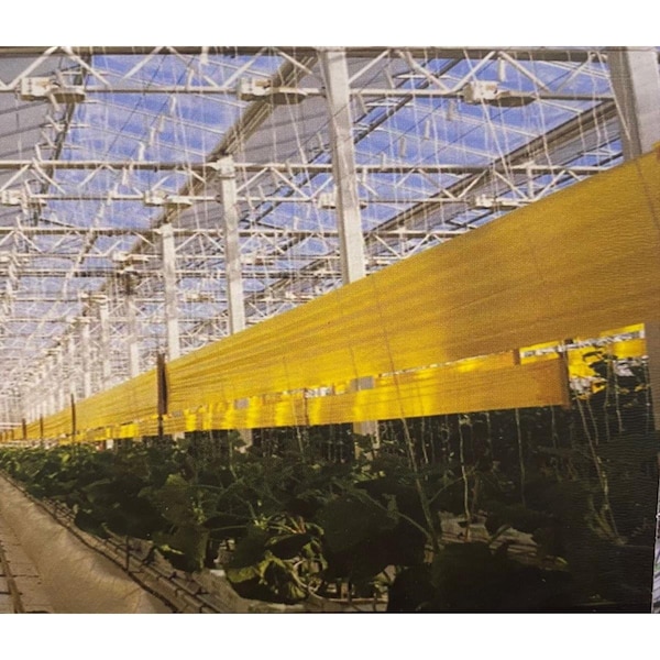Rsi -CATCHY Catchy 33FT double Sided Fly Trap Film - RSI-CATCHY