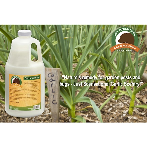Just Scentsational Garlic Scentry Half Gallon by Bare Ground - GAR-64