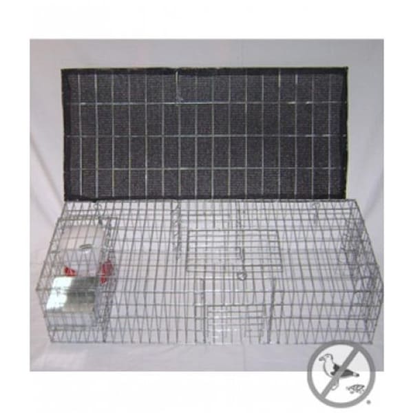 Bird-B-Gone Bird B Gone BMP-SW-SP-SFW Pigeon Trap With Shade, Food & Water Containers, 35 x 16 x 8 in. - BMP-SW/SP-SFW