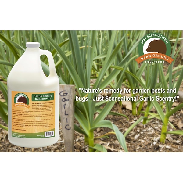 Just Scentsational Garlic Scentry Concentrate One Gallon by Bare Ground - GCS-128