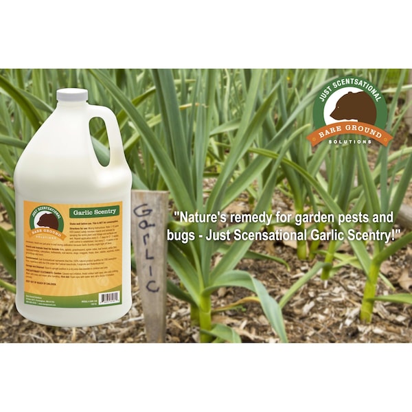 Just Scentsational Garlic Scentry One Gallon by Bare Ground - GAR-128