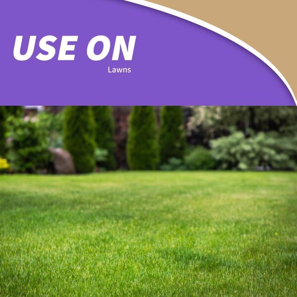 Molemax Bonide MoleMax Animal Repellent Stake For Gophers and Moles 1 each - 61120
