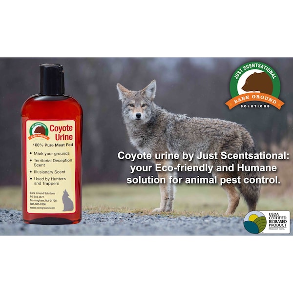 Just Scentsational Coyote Urine Predator Scent 4 oz by Bare Ground - RS-4