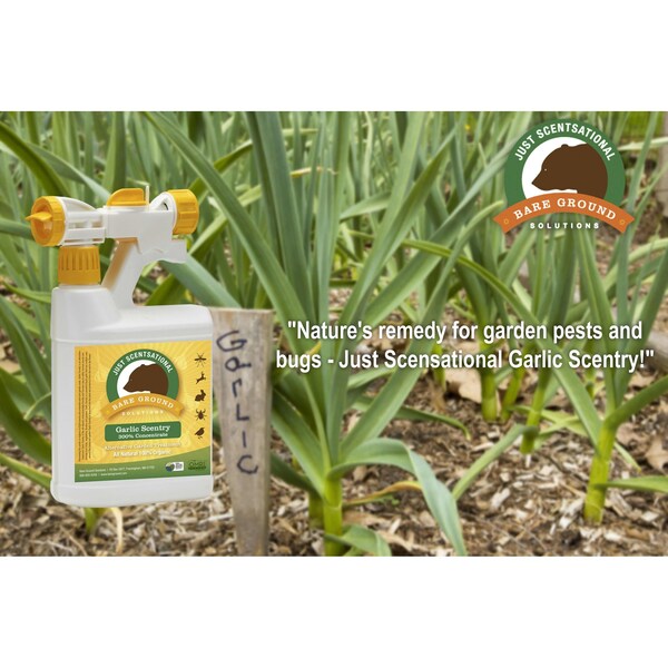 Just Scentsational Garlic Scentry Concentrate One Quart with Mixing Hose End Sprayer by Bare Ground - GCS-32HES