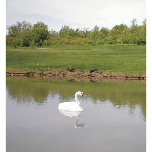 Flambeau Pond Swan Decoy, 36 In. L, 18 In. W - 5889LO