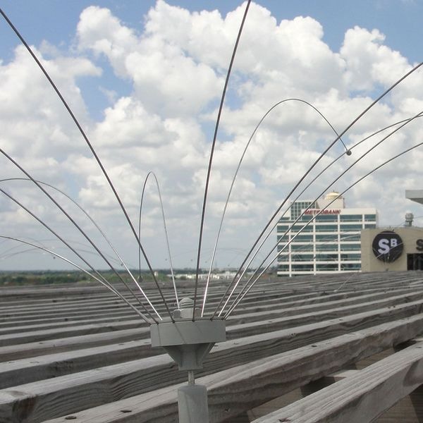Bird Barrier Bird Repellent, Daddi Long Legs, 8 ft. - DD-8000