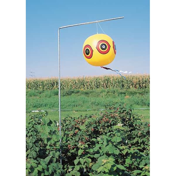 Bird-X Visual Bird Repellers, Scare Eyes, Black - BLACK SCARE EYES