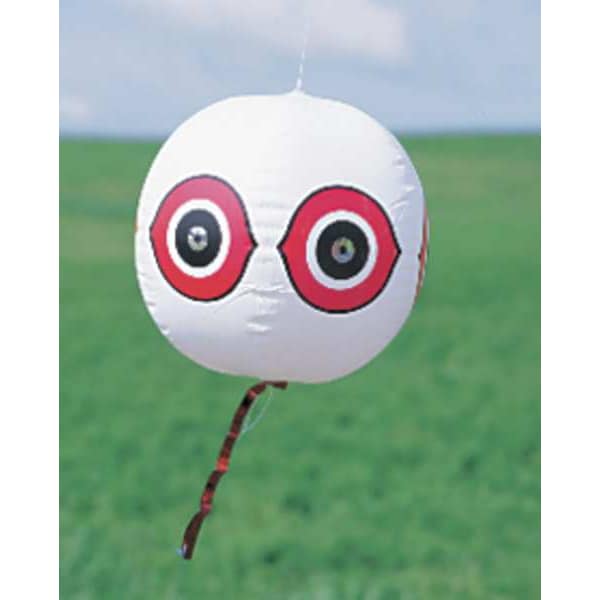 Bird-X Visual Bird Repellers, Scare Eyes, Black - BLACK SCARE EYES