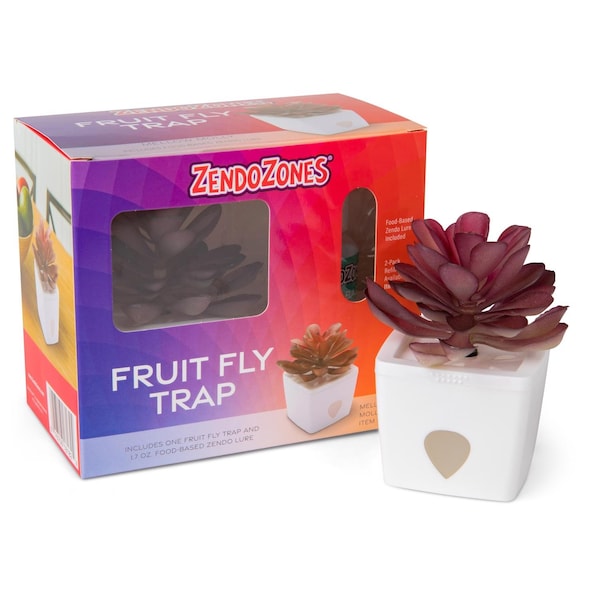 Zendozones JT Eaton ZendoZones Fruit Fly Trap 1 box, PK6 - 1818-MM