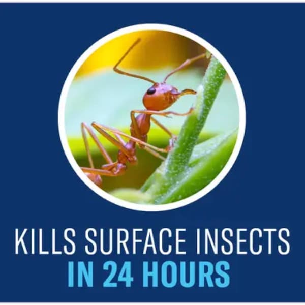 Sbm Bioadvanced BioAdvanced Complete Brand Insect Killer for Soil & Turf Concentrate 32 oz - 700377A