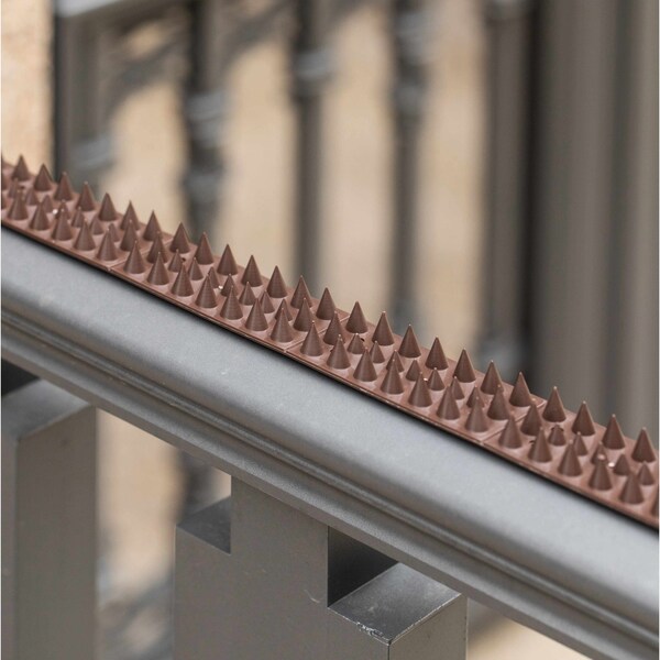 Gardenised Outdoor Plastic Repellent Wall Defender Fence Spikes for Birds, 10 Pack Brown - QI004402