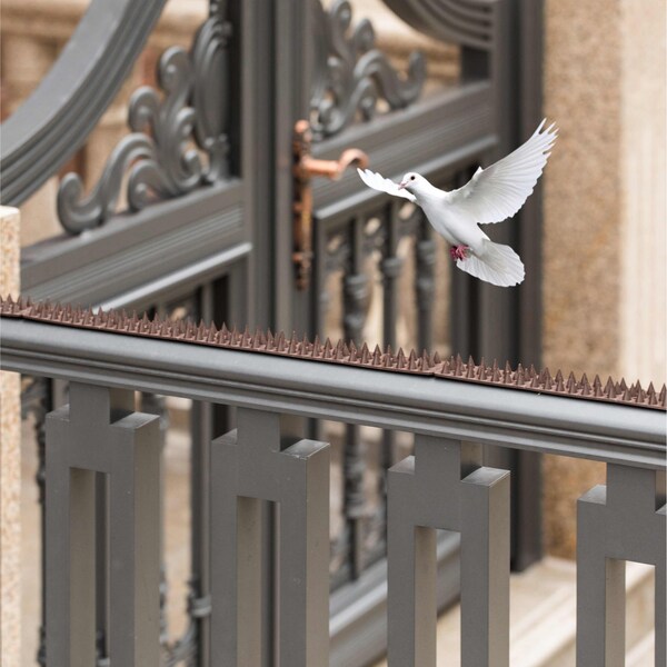 Gardenised Outdoor Plastic Repellent Wall Defender Fence Spikes for Birds, 10 Pack Brown - QI004402