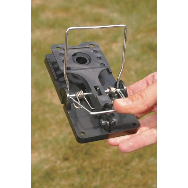 Kness Pest Defense Rat Trap, 5-1/2 in. L, 3 in. W - 103-0-013  BULK