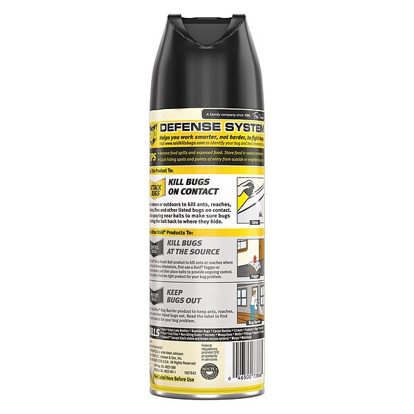 Raid Insect Killer, Indoor and Outdoor, 15 oz. - 300819