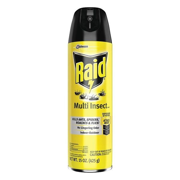 Raid Insect Killer, Indoor and Outdoor, 15 oz. - 300819