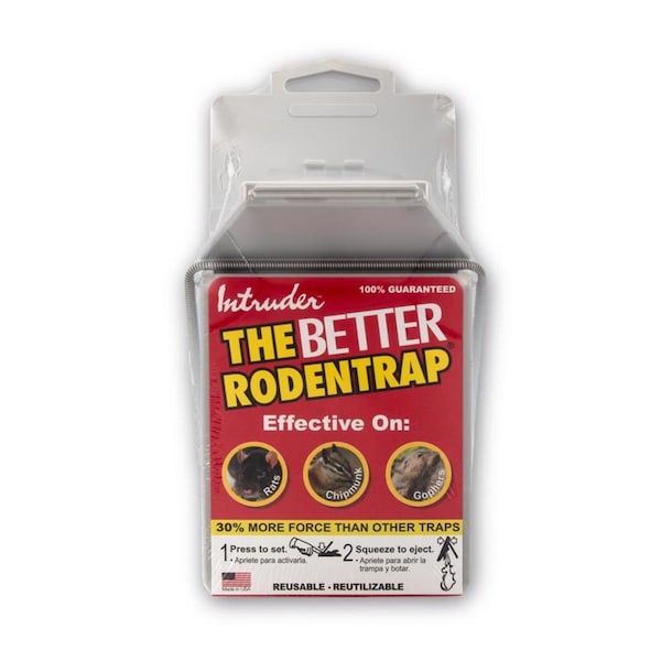 Intruder Intruder The Better Rodentrap Large Snap Trap For Rodents 1 pk - 16500