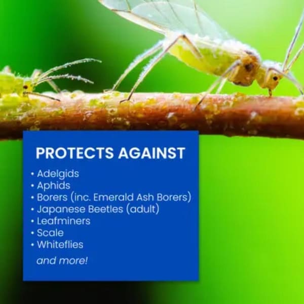 Bayer BioAdvanced 12 Month Tree and Shrub Protect & Feed Concentrate 32 oz - 701901A