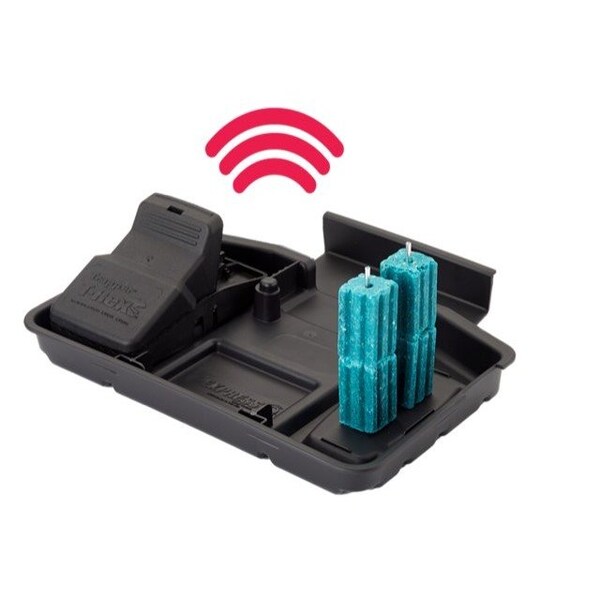 Bell Laboratories iQ Sensing Protecta Evo Express Tray for Bait Station - IQ9307