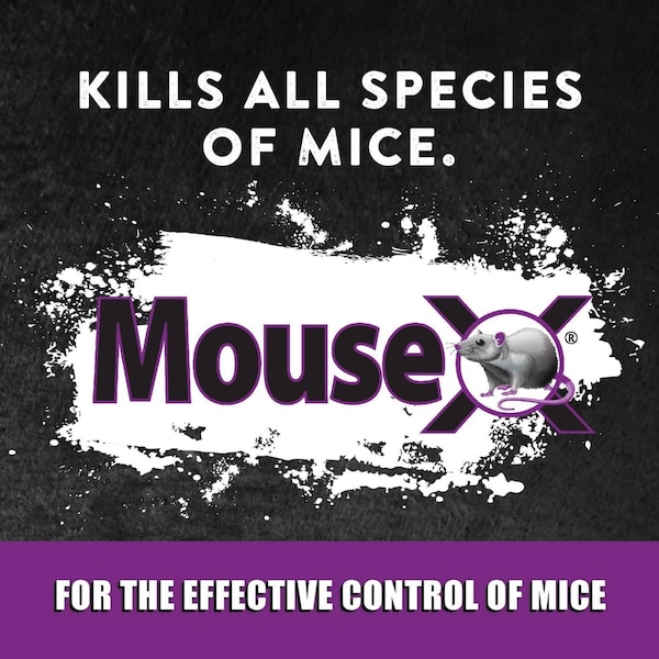 Mousex MouseX Non-Toxic Bait Pellets For Mice and Rats 6 oz 2 pk - 620107