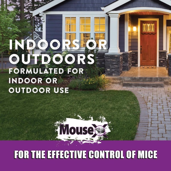 Mousex MouseX Non-Toxic Bait Pellets For Mice and Rats 6 oz 2 pk - 620107