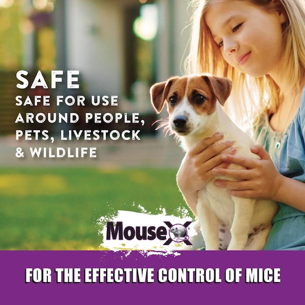 Mousex MouseX Non-Toxic Bait Pellets For Mice and Rats 6 oz 2 pk - 620107